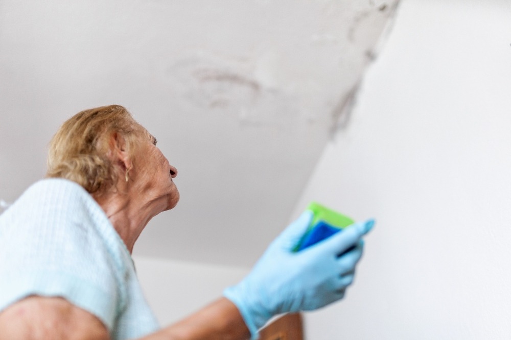 Cómo evitar la humedad en propiedades alquiladas Humedad En Propiedades Alquiladas Tratamientos para la Humedad en paredes y pisos